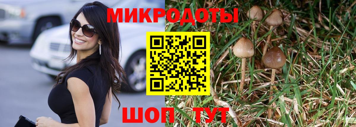 Галлюциногенные грибы Cubensis Тамбов