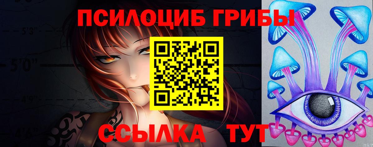 Тамбов  Псилоцибиновые грибы ЛСД  Вход с VPN 